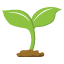 새싹3 새싹3