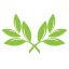 입새2 입새2